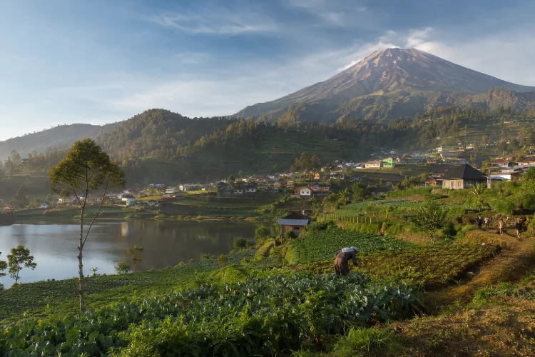 Sejarah Desa Ranupani, Desa Tengger di Kaki Gunung Semeru